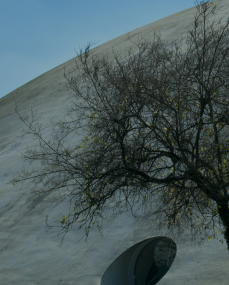 Discover the technology center